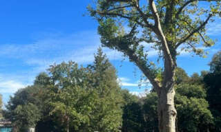 Terrain  687 m² à vendre à Bassussarry (64200)