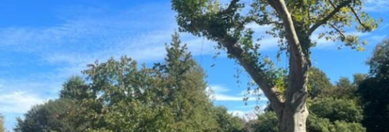 Terrain  687 m² à vendre à Bassussarry (64200)