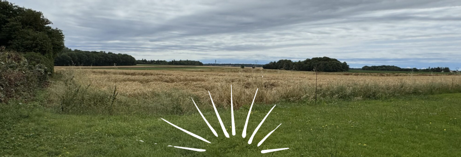 Terrain 501 m² à construire Magnanville (78200)