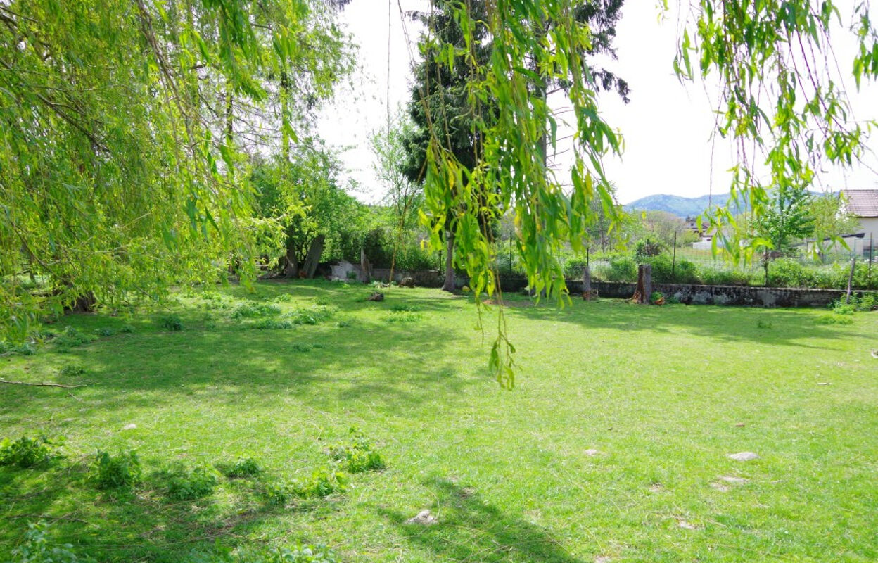 terrain  pièces 1363 m2 à vendre à Sentheim (68780)