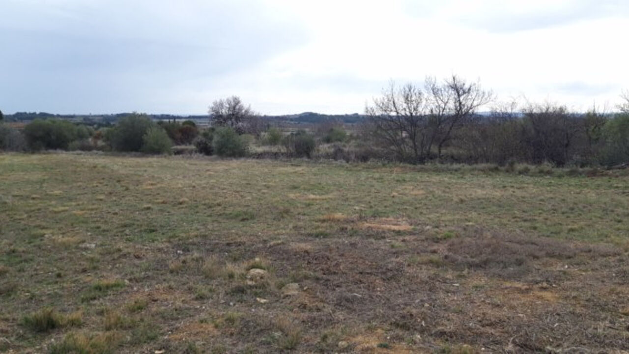 terrain  pièces 1296 m2 à vendre à Mailhac (11120)