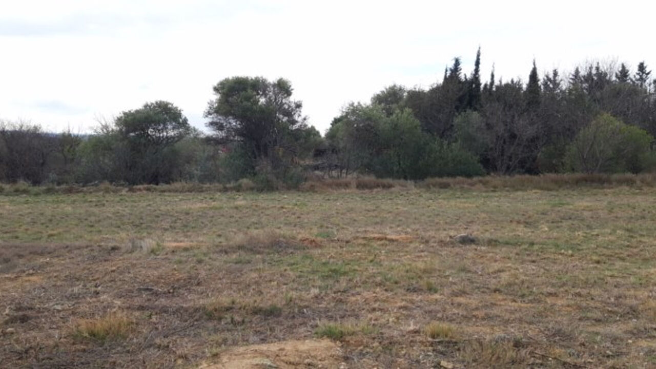 terrain  pièces 1400 m2 à vendre à Mailhac (11120)