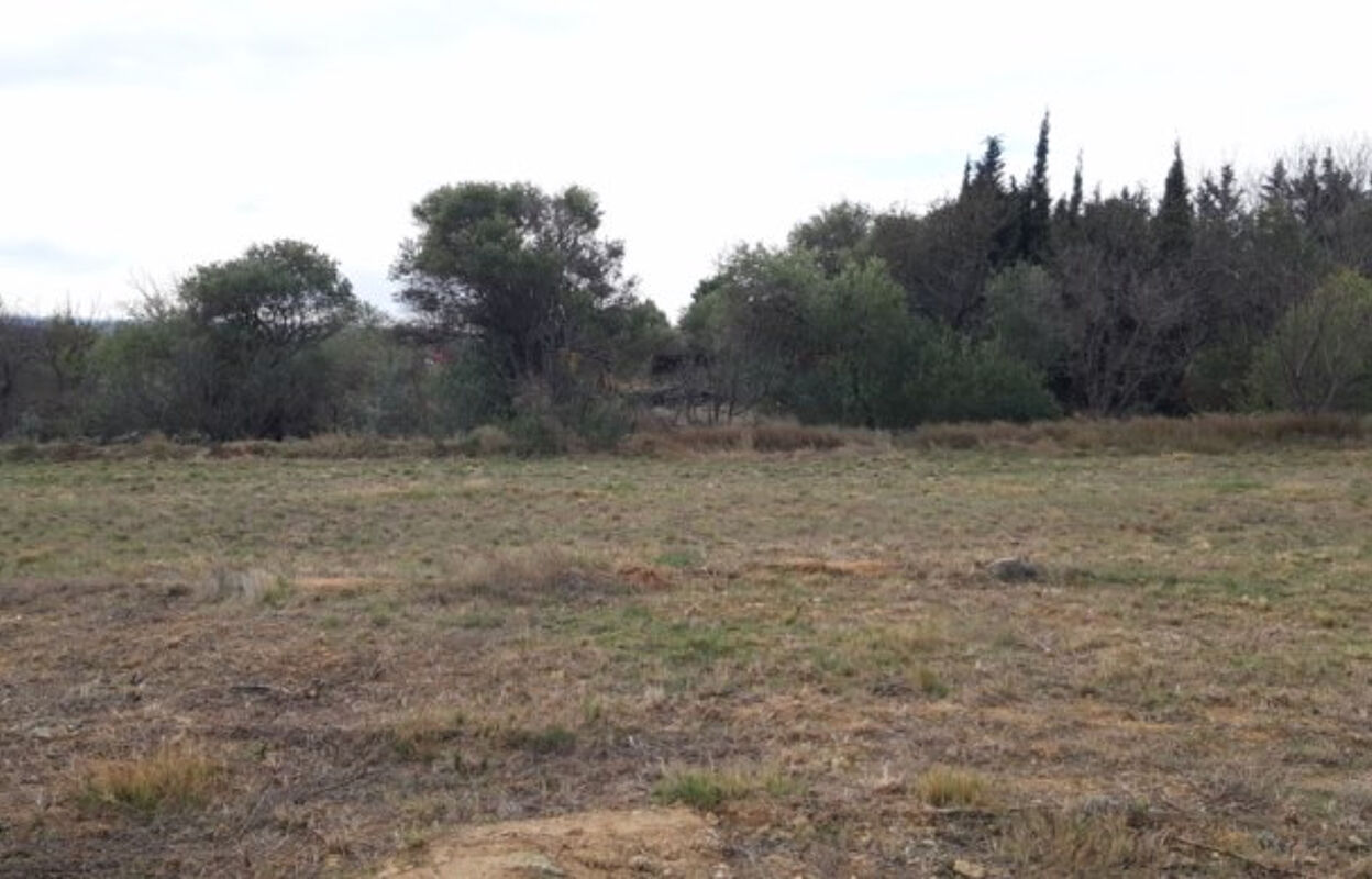 terrain  pièces 1400 m2 à vendre à Mailhac (11120)