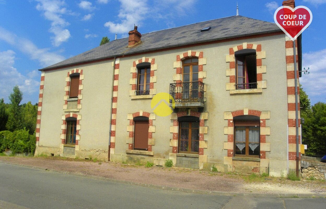 maison 11 pièces 230 m2 à vendre à Léré (18240)