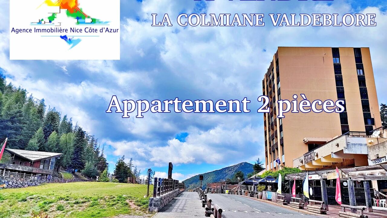 appartement 2 pièces 33 m2 à vendre à Valdeblore (06420)