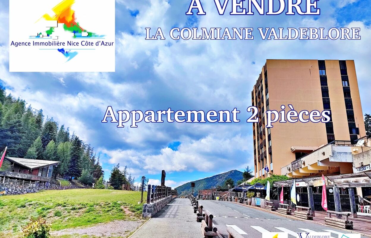 appartement 2 pièces 33 m2 à vendre à Valdeblore (06420)