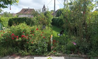 Photo N° 4