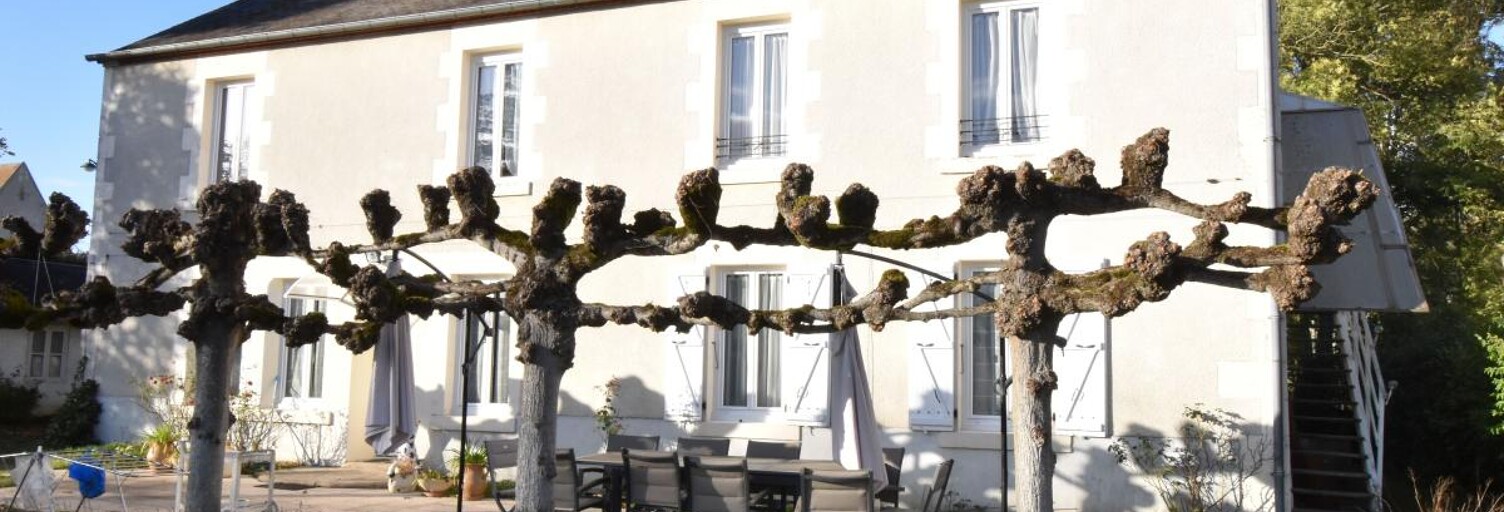 Maison 7 Pièces 200 m² à vendre à Léré (18240)