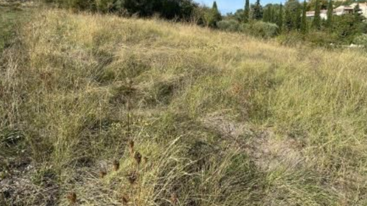 terrain  pièces 500 m2 à vendre à Villeneuve (04180)