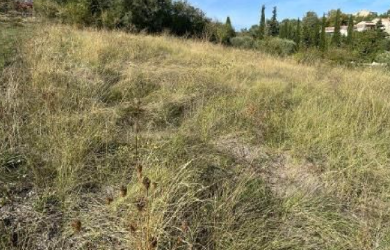 terrain  pièces 500 m2 à vendre à Villeneuve (04180)