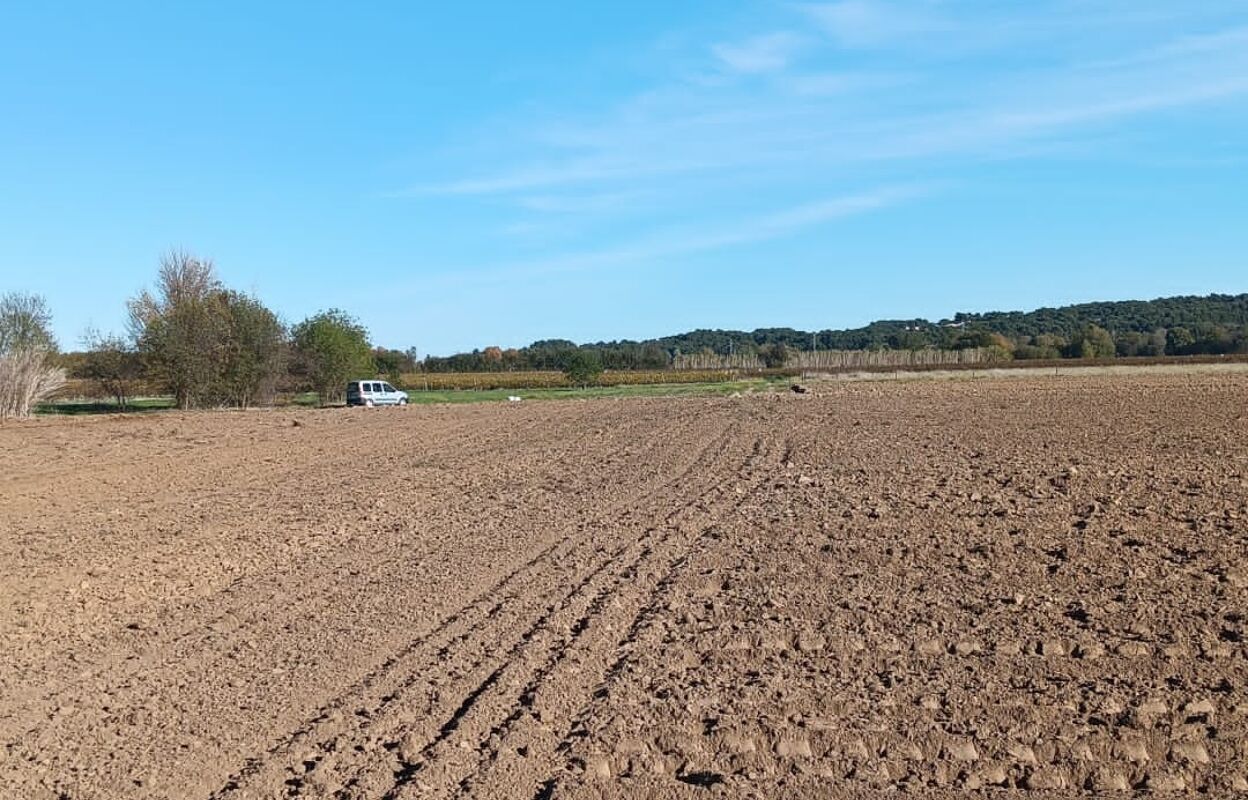 terrain  pièces 42827 m2 à vendre à Saint-Nazaire-d'Aude (11120)