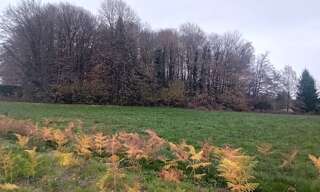 Terrain  8315 m² à vendre à Saint-Jal (19700)