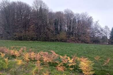 Terrain  34200 €