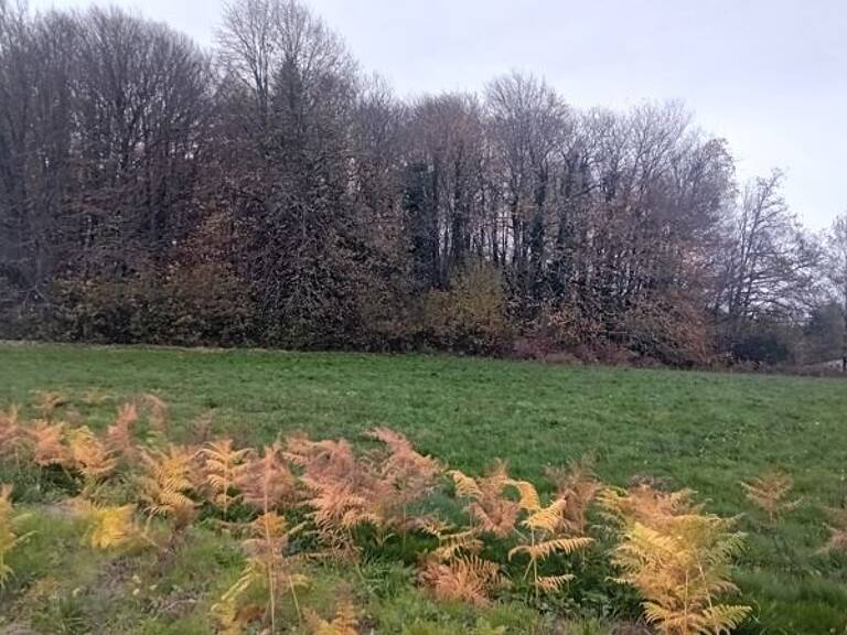 Terrain à bâtir de 0 pièces principales — photo 1