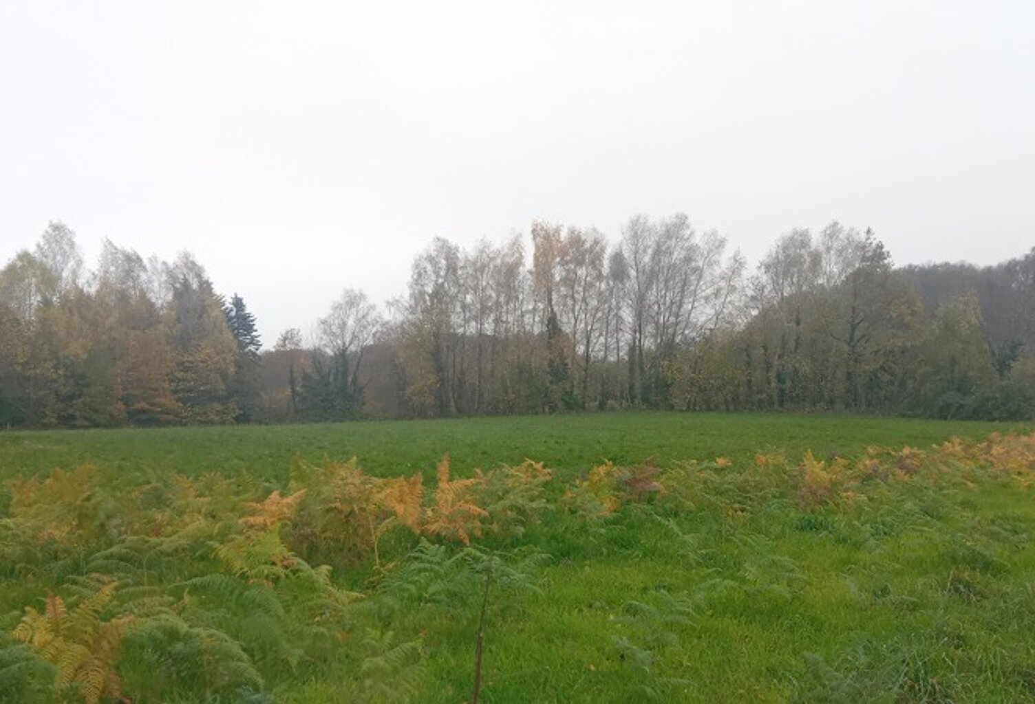 Terrain à bâtir de 0 pièces principales — photo 1