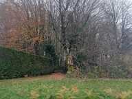Terrain à bâtir de 0 pièces principales — photo 2