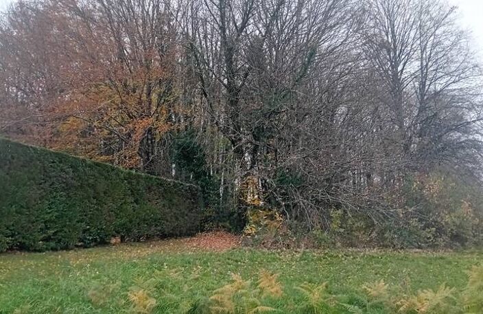 Terrain à bâtir de 0 pièces principales — photo 2