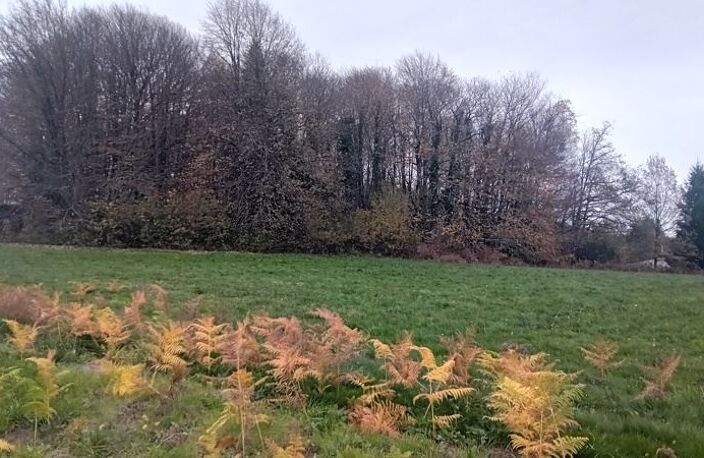 Terrain à bâtir de 0 pièces principales — photo 3
