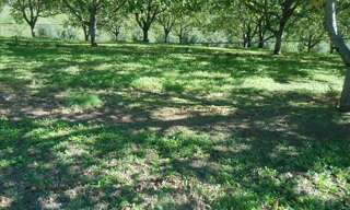 Terrain  2549 m² à vendre à Glanes (46130)