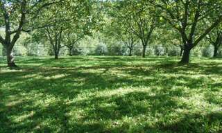 Terrain  2048 m² à vendre à Glanes (46130)