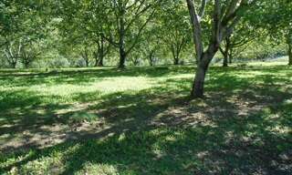 Terrain  1019 m² à vendre à Glanes (46130)