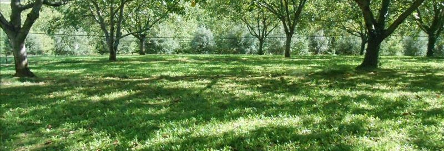 Terrain  1019 m² à vendre à Glanes (46130)