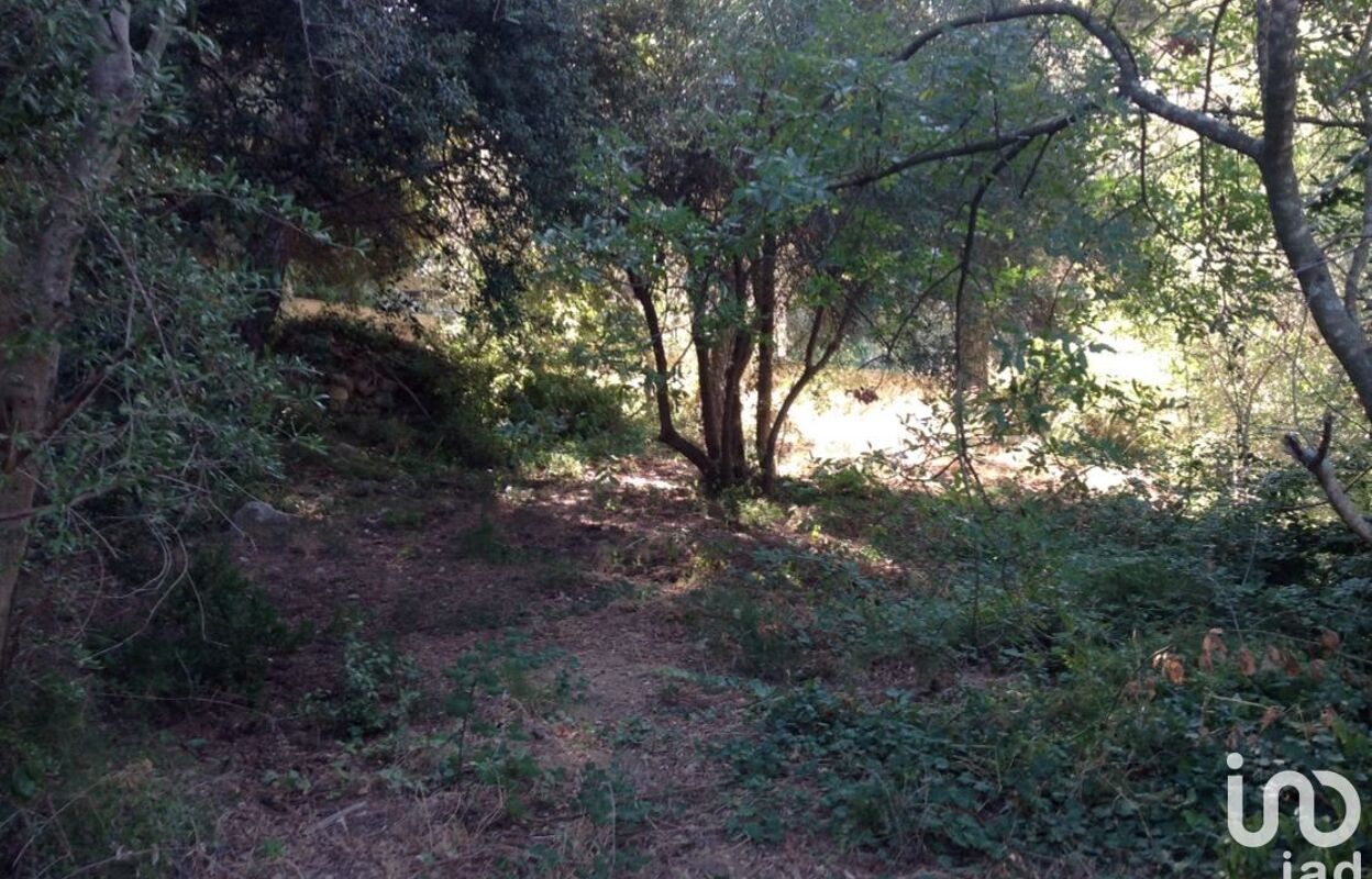 terrain  pièces 1295 m2 à vendre à La Valette-du-Var (83160)