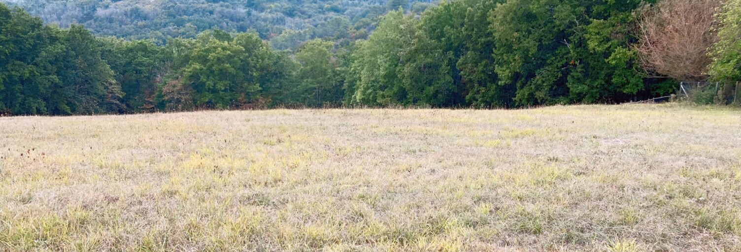 Terrain  3000 m² à vendre à Peyzac-le-Moustier (24620)