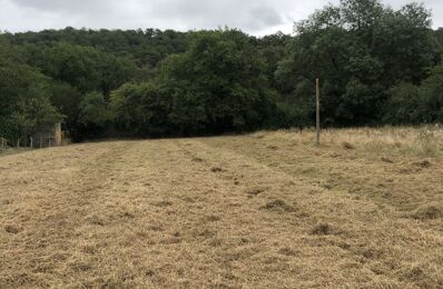 terrain  pièces 1730 m2 à vendre à Moussac (86150)