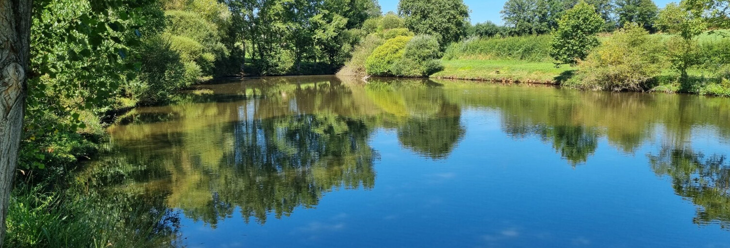 Terrain  14264 m² à vendre à Chassignolles (36400)