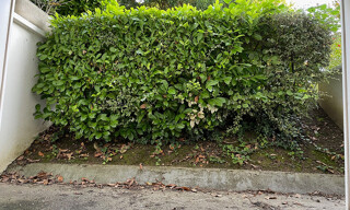 Photo N° 4
