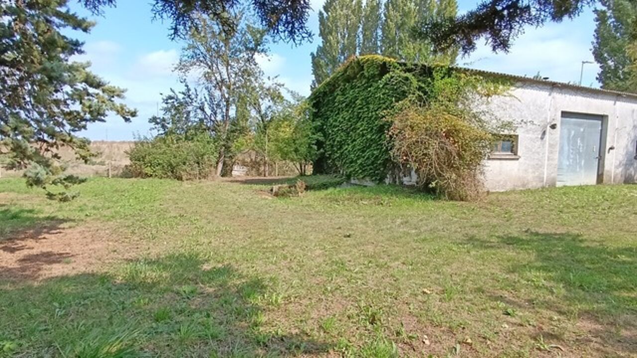 terrain  pièces 2900 m2 à vendre à Artannes-sur-Indre (37260)