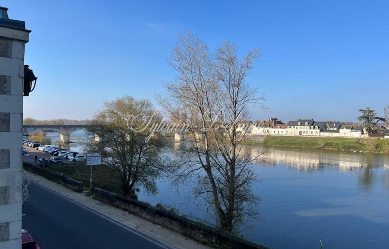 maison 18 pièces 518 m2 à vendre à Amboise (37400)