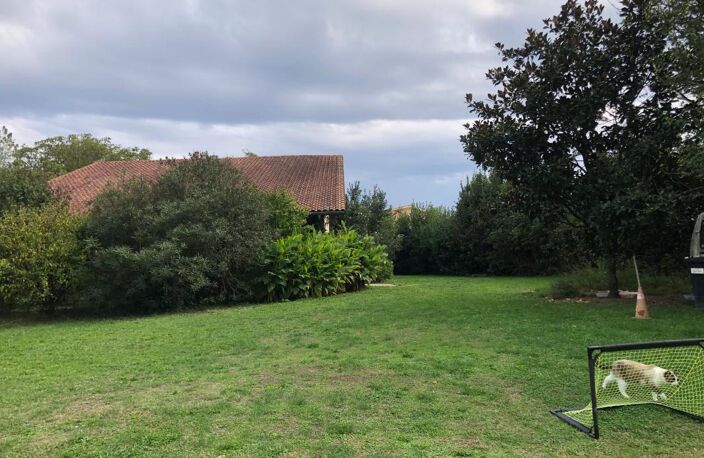 Maison À Vendre — photo 5