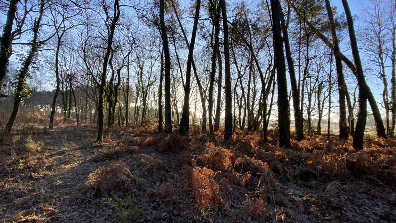 terrain  pièces 4500 m2 à vendre à Saint-Christoly-de-Blaye (33920)