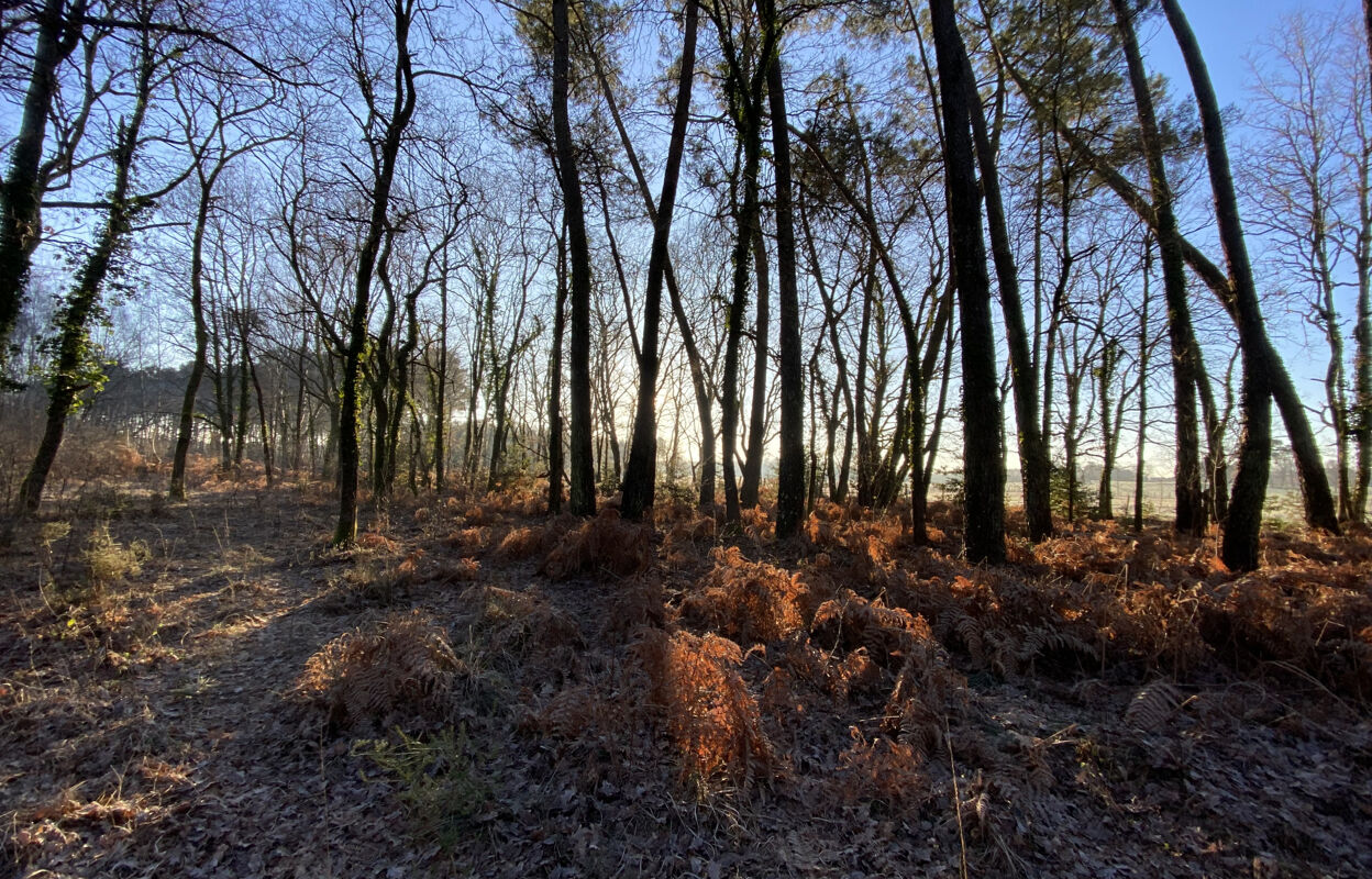 terrain  pièces 4500 m2 à vendre à Saint-Christoly-de-Blaye (33920)