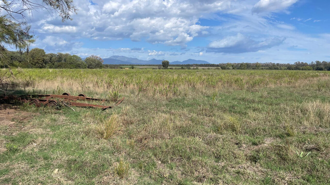 terrain  pièces 6000 m2 à vendre à Chisa (20240)