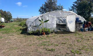 Terrain  6000 m² à vendre à Ghisonaccia (20240)