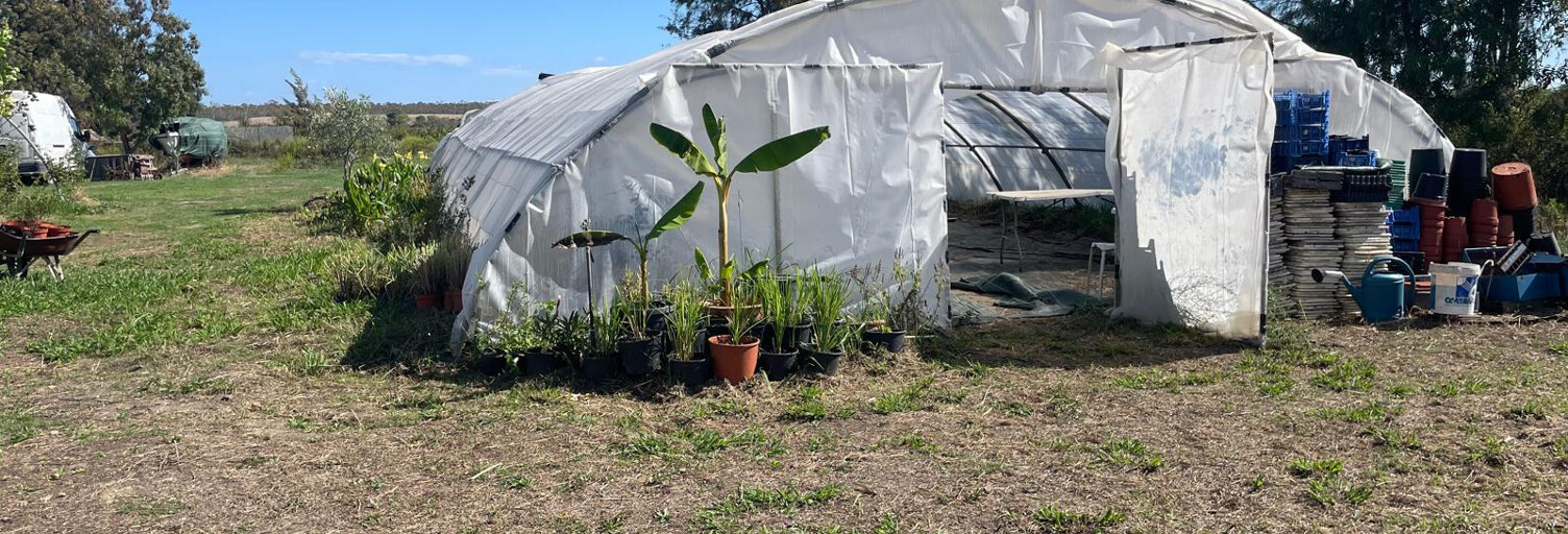 Terrain  6000 m² à vendre à Ghisonaccia (20240)