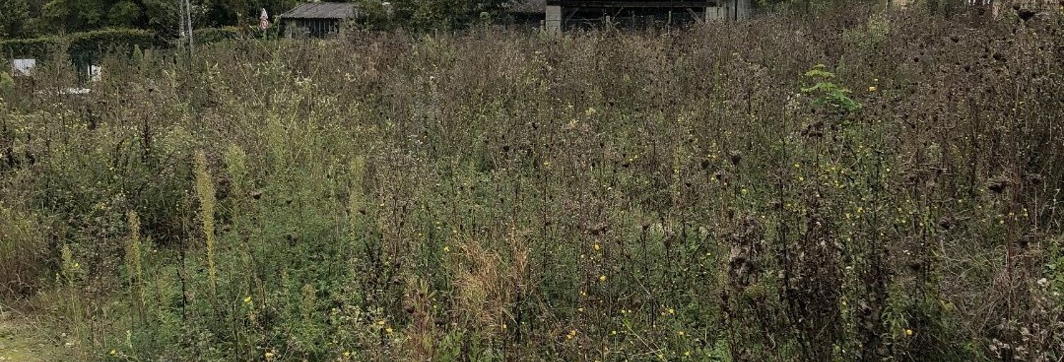 Terrain  521 m² à vendre à Maule (78580)