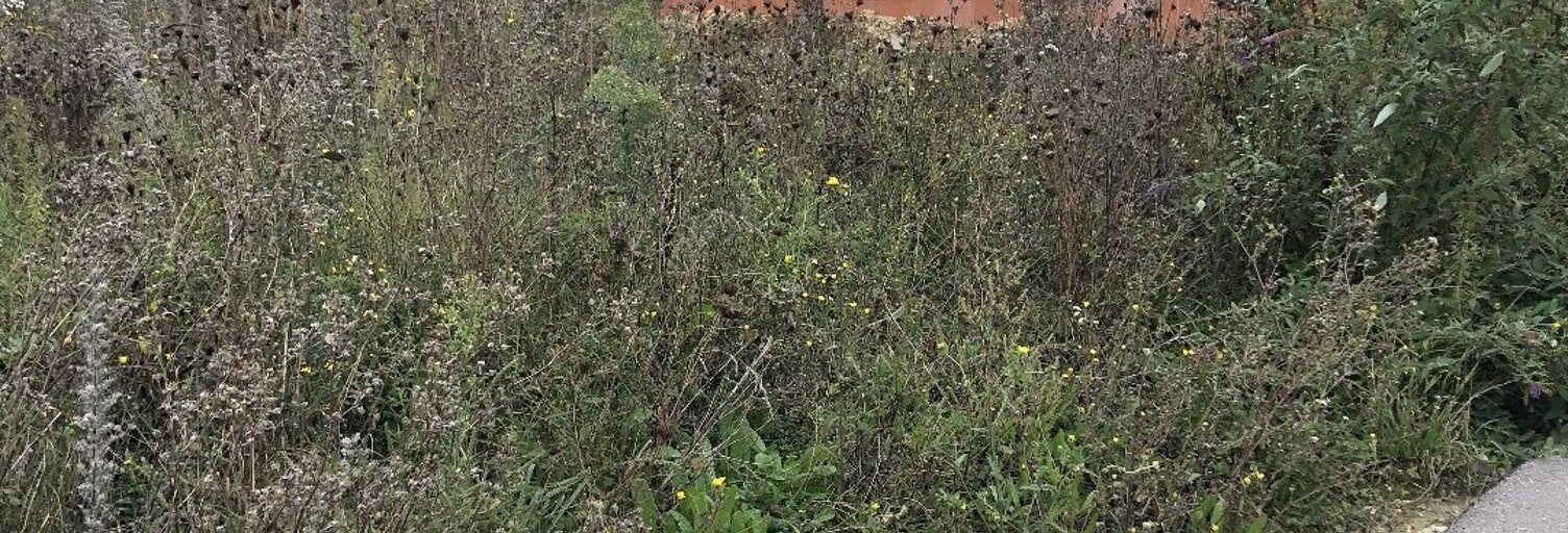 Terrain  507 m² à vendre à Maule (78580)