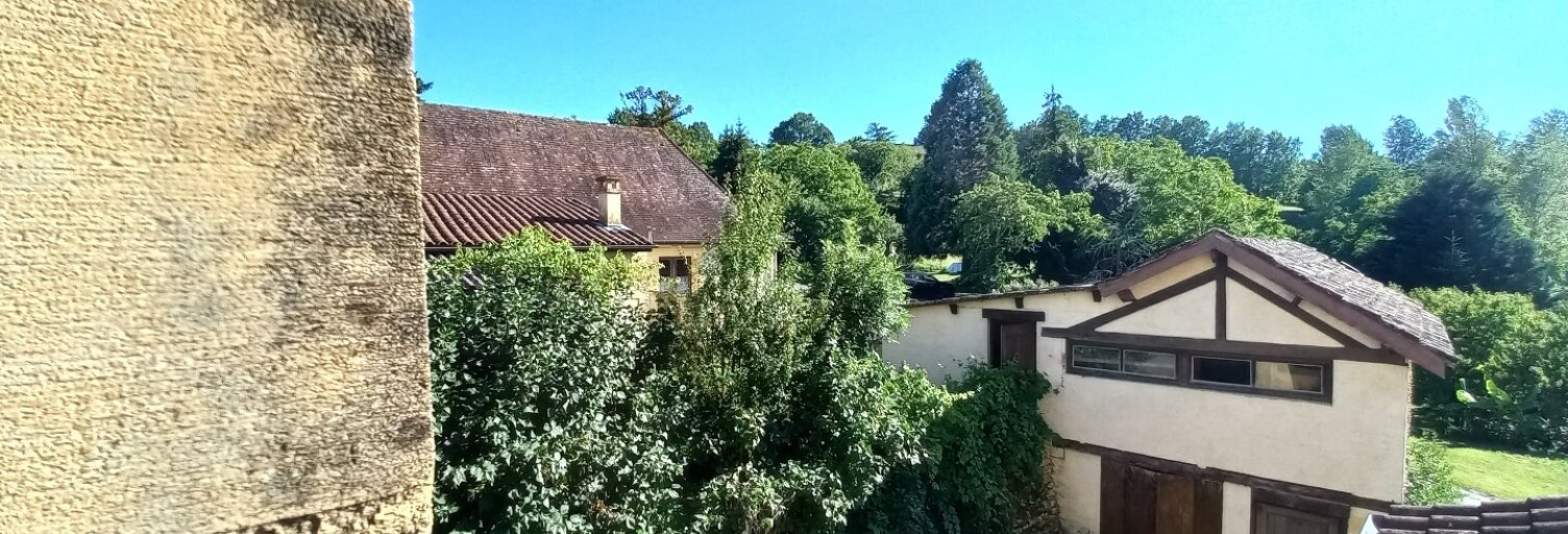 Maison 67 Pièces 2300 m² à vendre à Les Eyzies (24620)