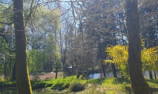 Photo N° 3