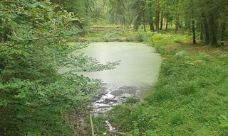 Photo N° 6