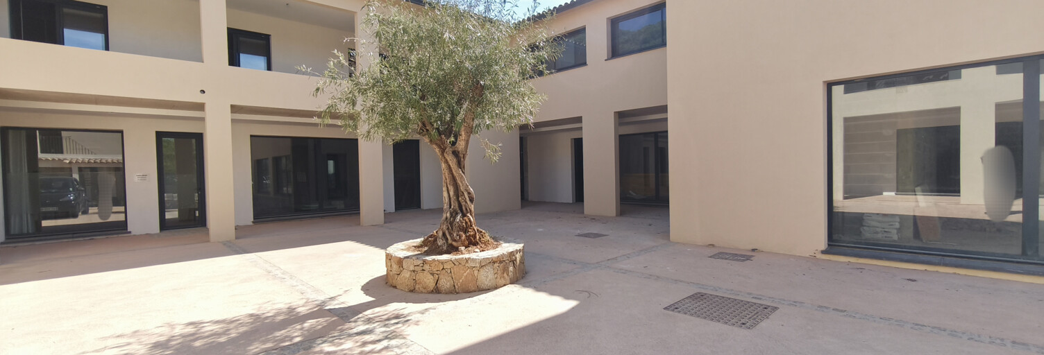 Appartement 3 Pièces 71 m² à vendre à Albitreccia (20166)