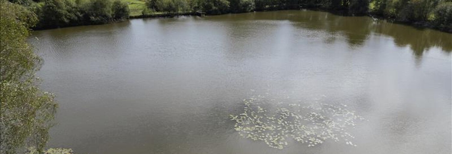 Maison 1 Pièce 39 m² à vendre à Saint-Yrieix-la-Perche (87500)