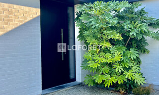 Photo N° 3