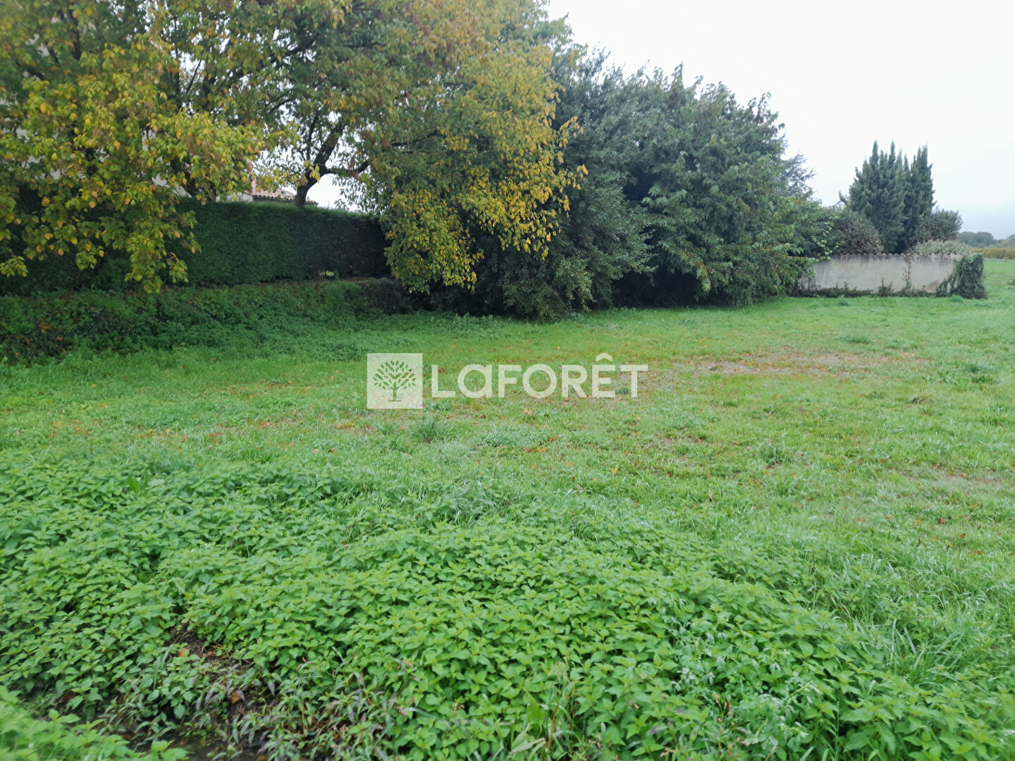 Terrain  à vendre Dolus-d'Oléron 17550