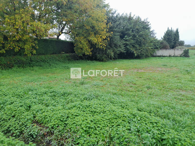 DOLUS D'OLERON — photo 1