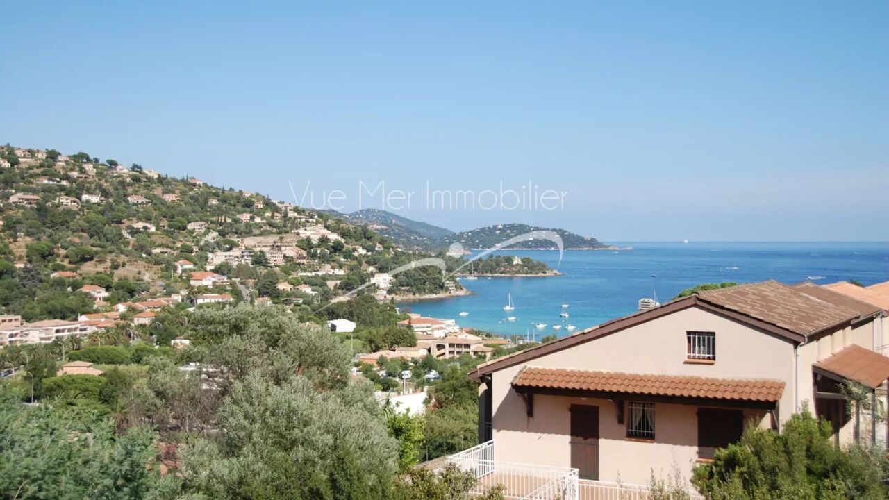 terrain  pièces 774 m2 à vendre à Le Lavandou (83980)